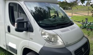 Theault hestetransporter - Automat gear